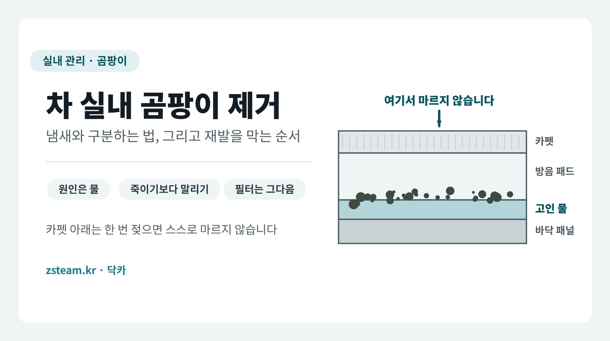 차 실내 곰팡이가 생기는 자리를 카펫 단면으로 보여주는 대표 이미지, 카펫과 방음 패드 아래 고인 물