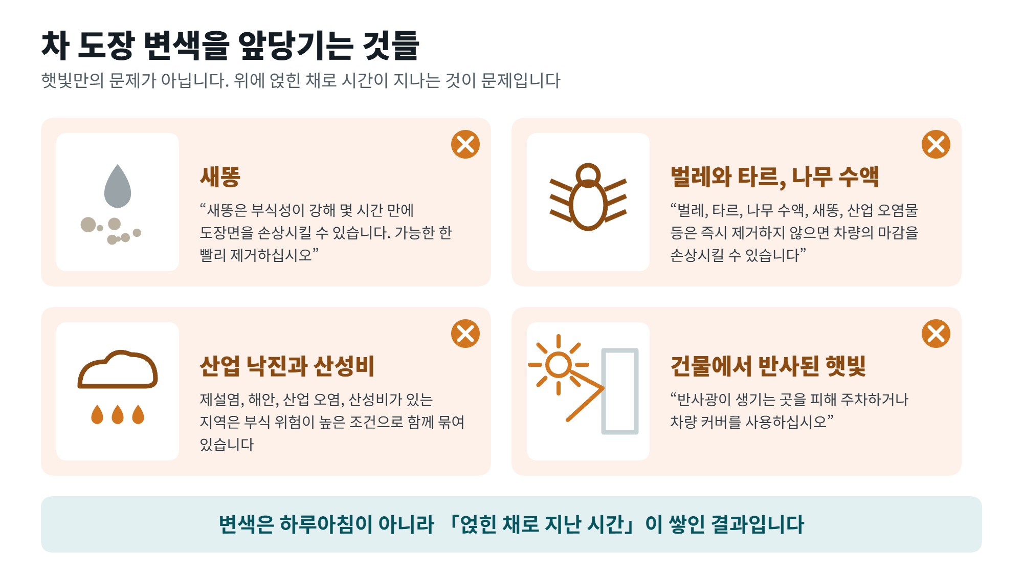 차 도장 변색 원인과 예방법, 색이 먼저 바래는 자리 3 차 도장 변색을 앞당기는 것 네 가지를 정리한 일러스트, 새똥과 벌레와 산업 낙진과 반사광
