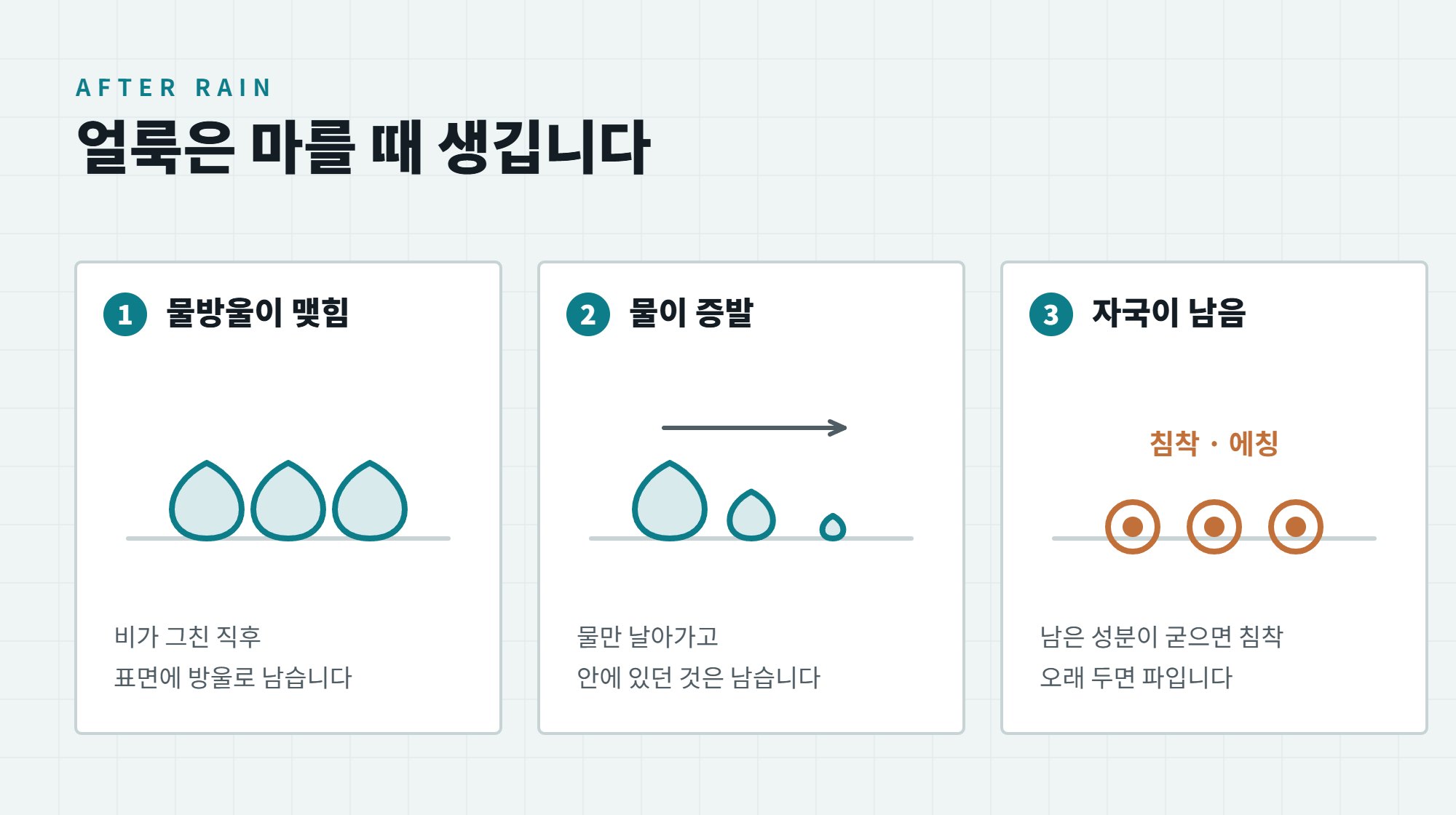 비 오는 날 세차해도 될까, 비 온 뒤 빗물 자국 없애는 법 4 물방울이 맺히고 물이 증발한 뒤 남은 성분이 침착과 에칭으로 굳는 세 단계를 그린 일러스트