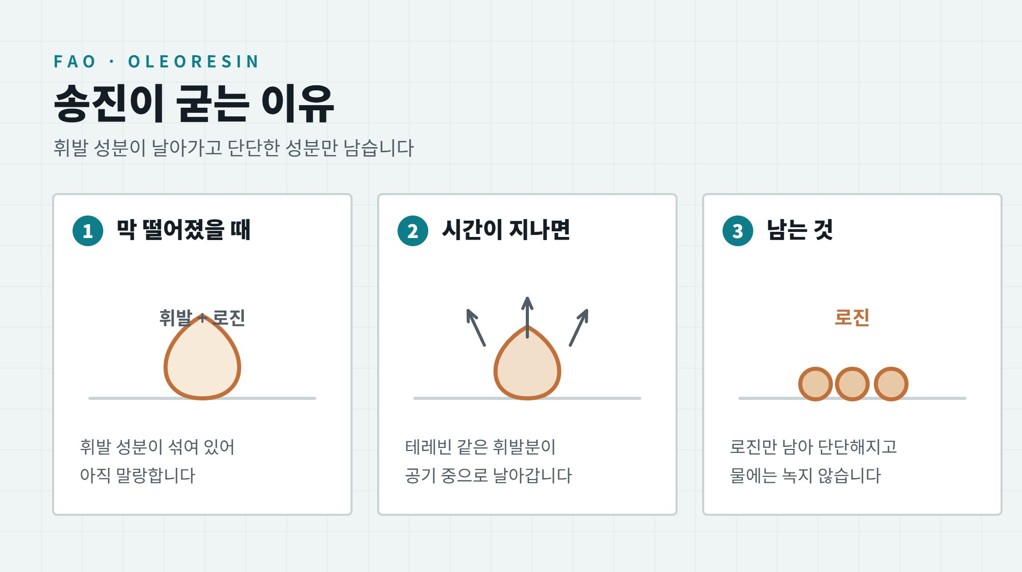 차 송진 제거 방법, 나무 수액 자국 도장 손상 없이 지우기 3 송진이 굳는 이유, 휘발 성분이 날아가고 물에 녹지 않는 로진만 남는 세 단계 일러스트
