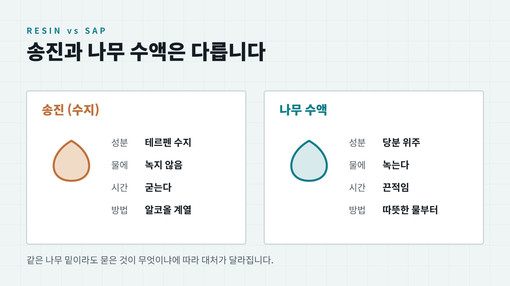 차 송진 제거 방법, 나무 수액 자국 도장 손상 없이 지우기 2 차 송진 제거와 나무 수액 제거의 차이, 성분과 물 용해 여부와 대처 방법을 두 칸으로 비교한 일러스트