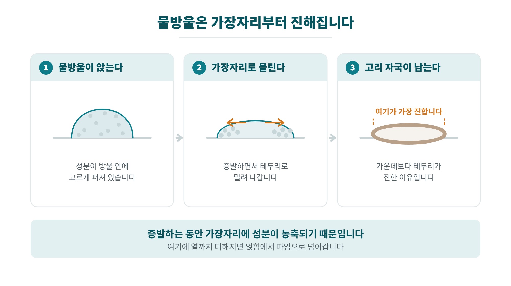 워터스팟 제거제 고르는 법, 물자국과 에칭 구분부터 안전하게 쓰는 순서까지 3 워터스팟이 고리 모양으로 남는 과정, 물방울이 마르면서 가장자리에 성분이 농축돼 링 자국이 생기는 3단계 일러스트