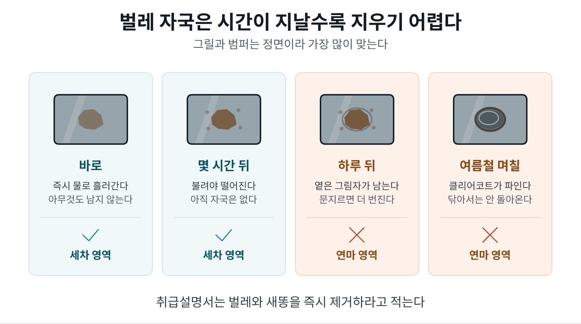 그릴 청소, 벌레 자국과 엠블럼 틈새까지 순서 3 그릴 청소를 미룰수록 벌레 자국이 깊어지는 과정