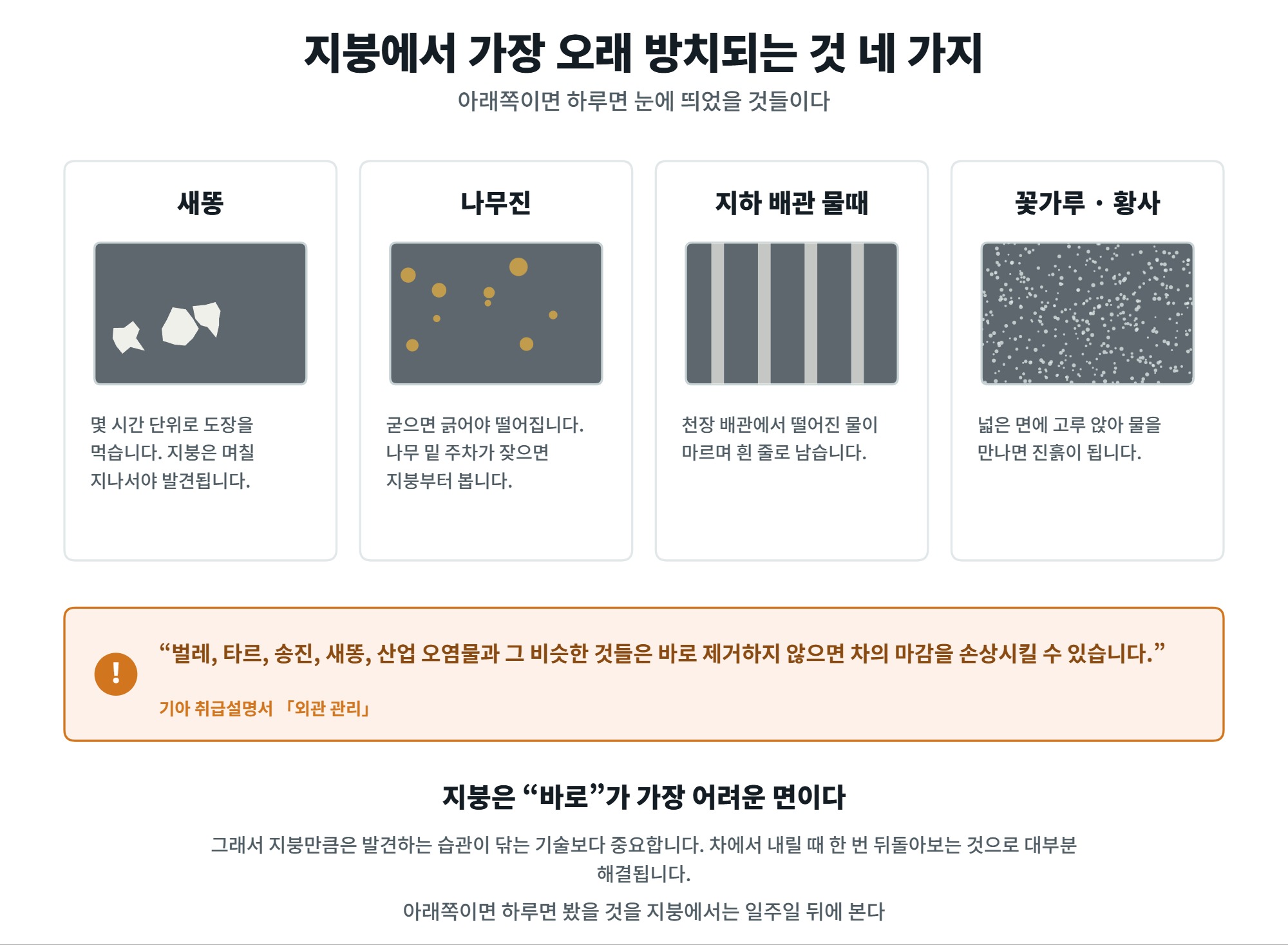 차 지붕 세차, 손이 안 닿는 면을 안전하게 닦는 순서 3 차 지붕 세차에서 가장 오래 방치되는 것 네 가지