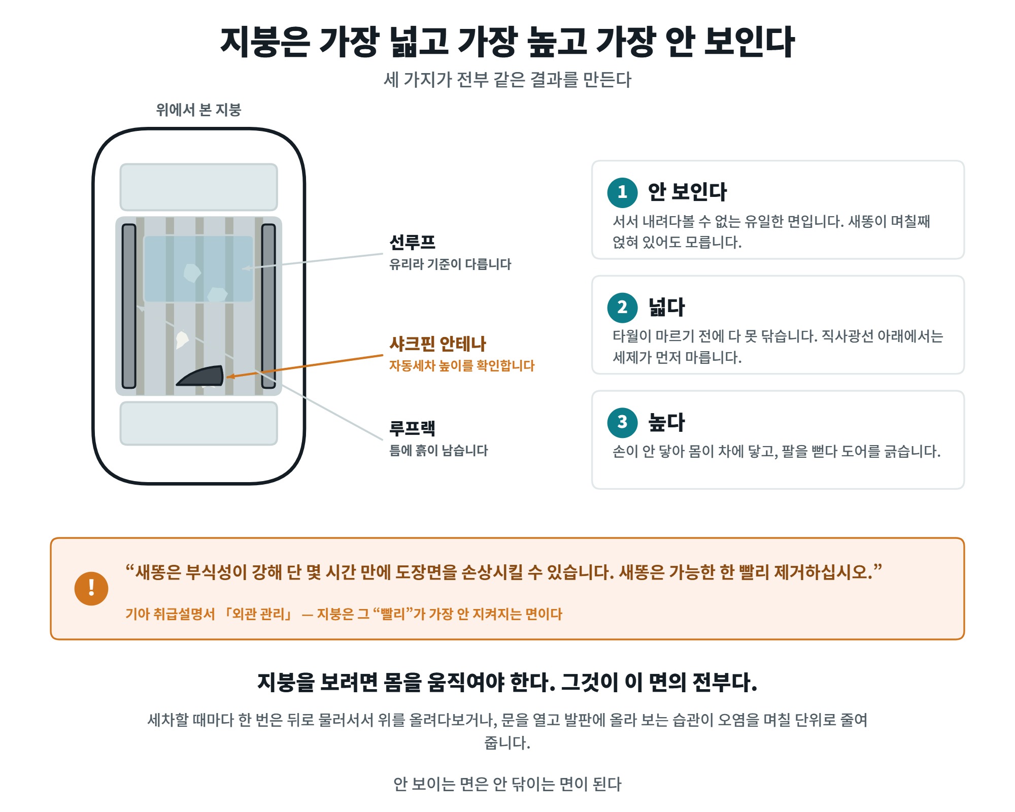 차 지붕 세차, 손이 안 닿는 면을 안전하게 닦는 순서 2 차 지붕 세차에서 지붕이 특별한 세 가지