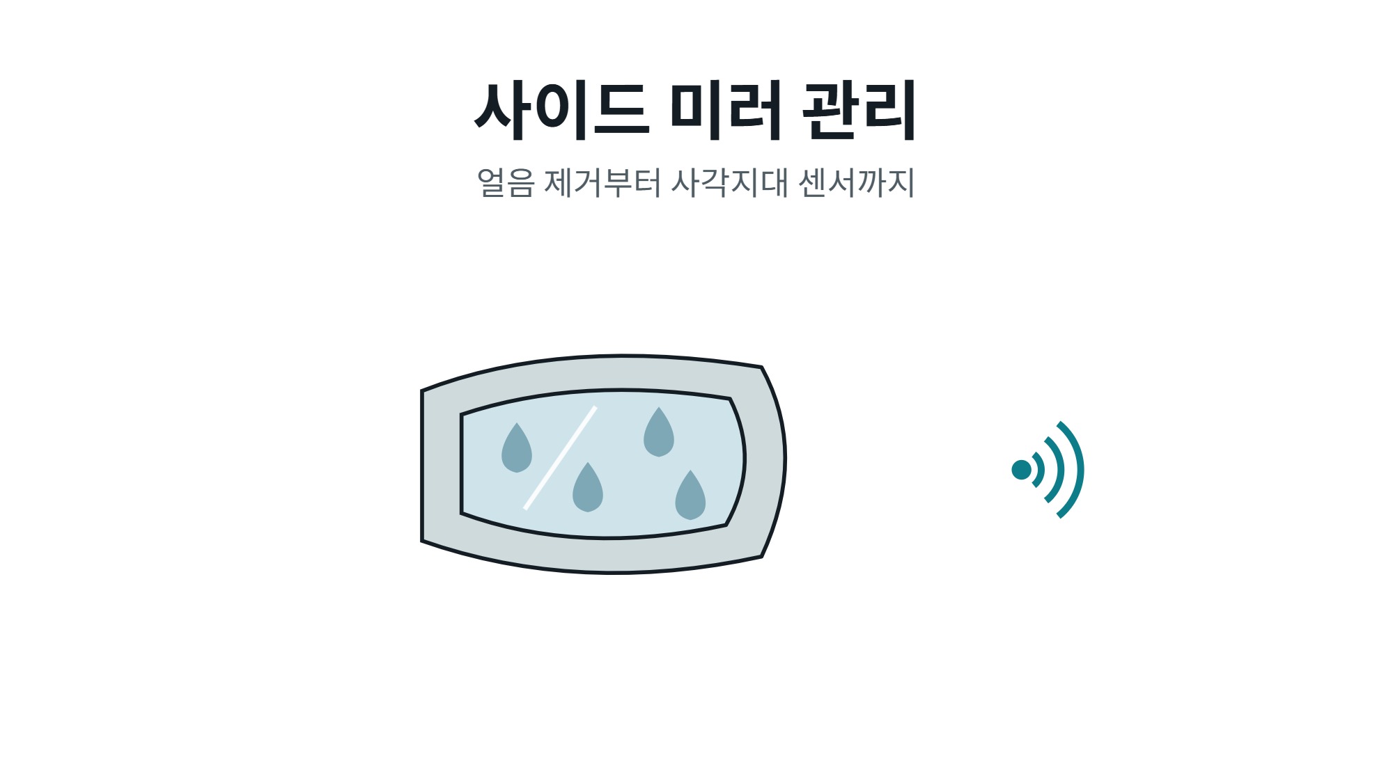 사이드 미러 관리 방법