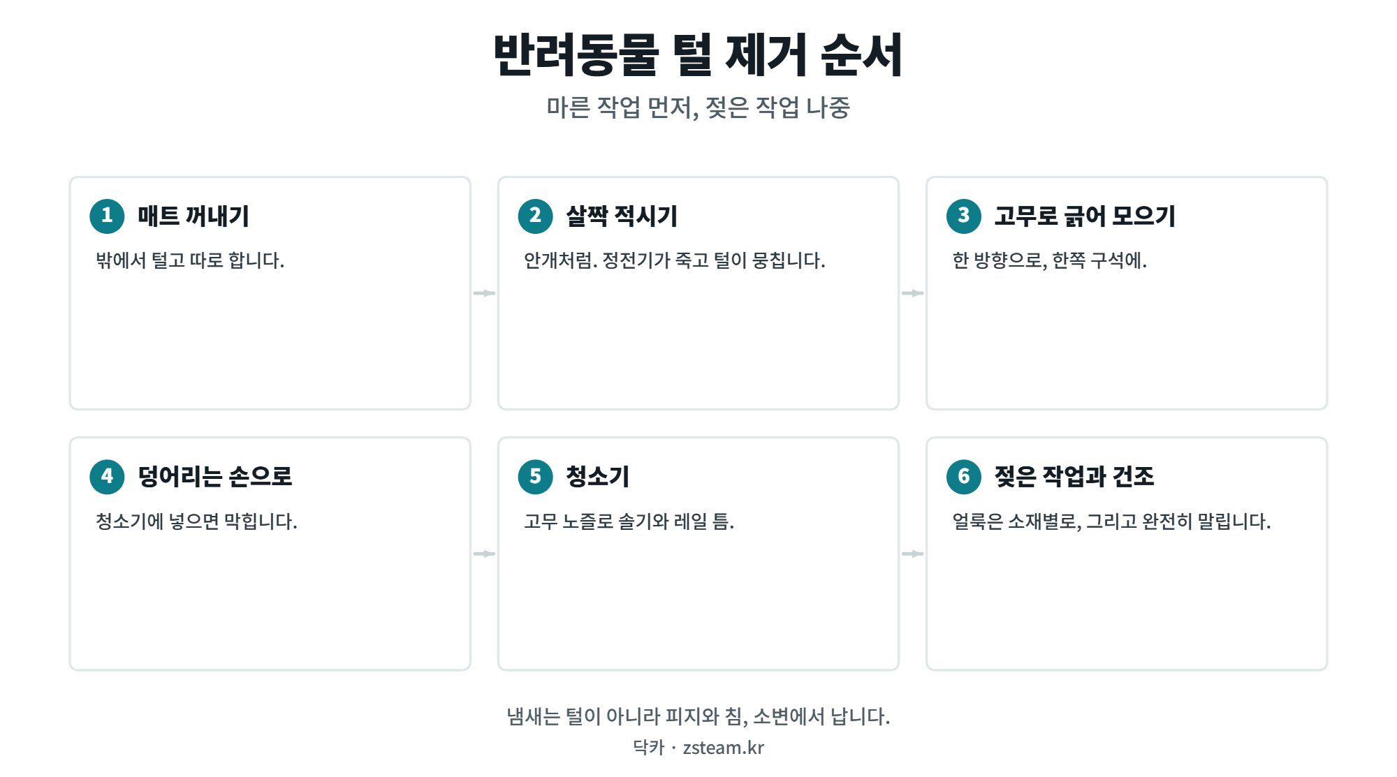 차 안 강아지 고양이 털 제거 여섯 단계